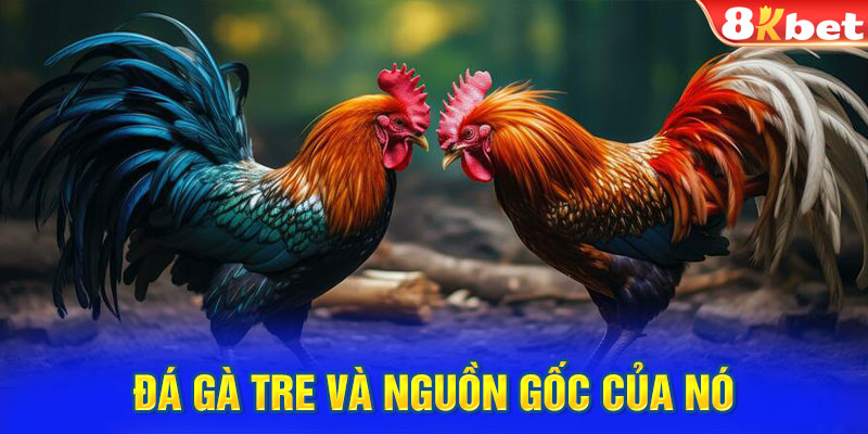 Đá gà tre và nguồn gốc của nó