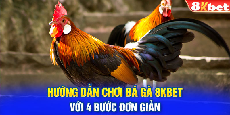 Hướng dẫn chơi đá gà 8KBET với 4 bước đơn giản