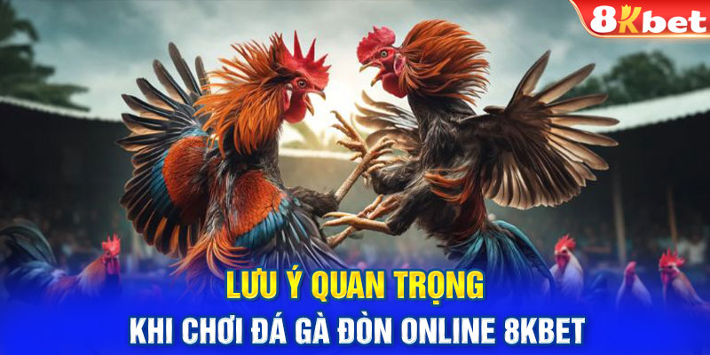 Lưu ý quan trọng khi chơi đá gà đòn online 8KBET